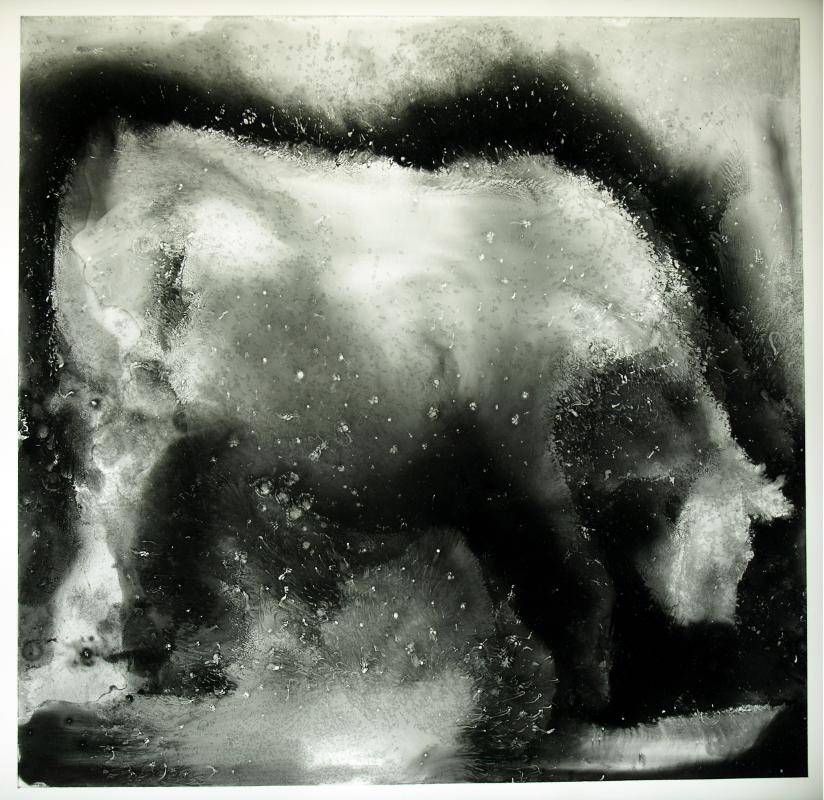 image of stained glass panel: Charolais cow
